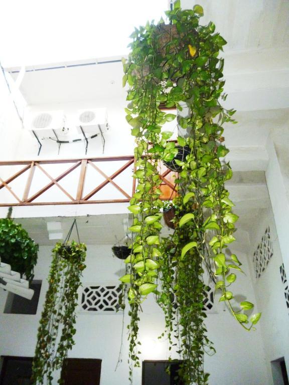 Hostal La Muralla Cartagena  Exterior foto